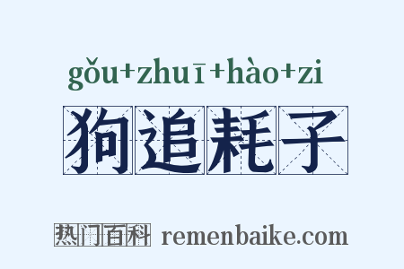 狗追耗子是什么意思的图片